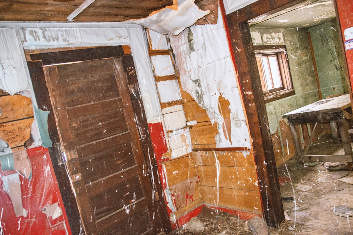 Mold Remediation service in Downers Grove, IL