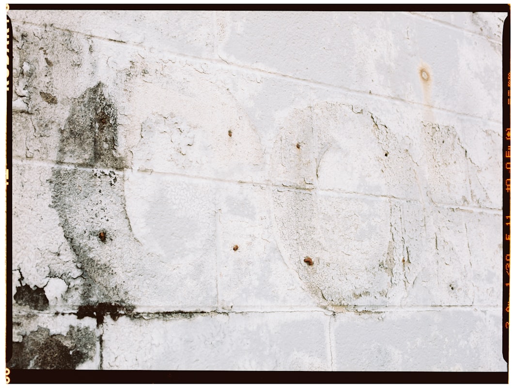 Flood Cleanup service in Downers Grove, IL