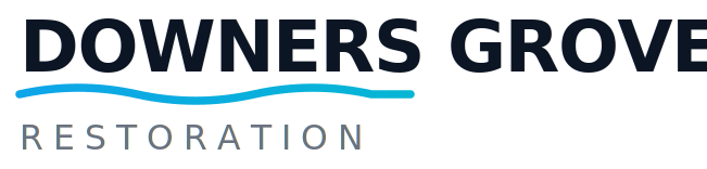 Downers Grove Restoration